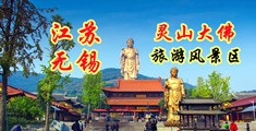 国产韵妇战洋屌第五弹江苏无锡灵山大佛旅游风景区