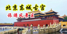 久久干久久爱狠狠爱中国北京-东城古宫旅游风景区